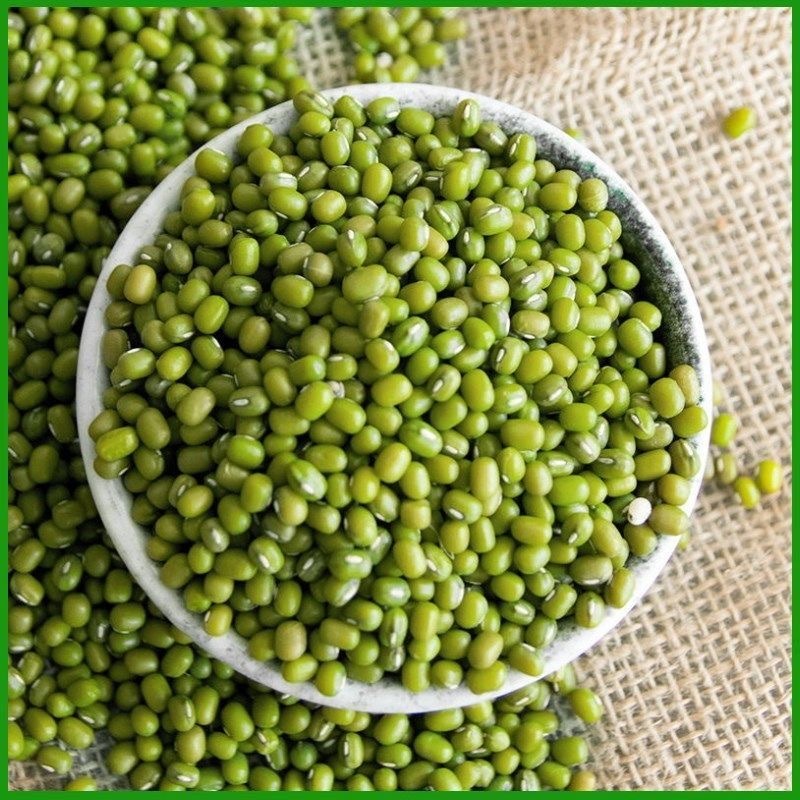 20 Seeds Green Beans, Large Green Beans, Organic Beans, Healthy Beans, Organic, Organic Mung Bean, C