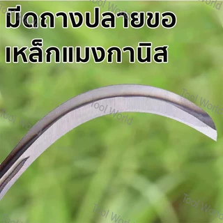 💥จัดส่งที่รวดเร็ว💥 เคียวแมงกานีส เคียวเหล็กแมงกานีส เคียวเกี่ยวหญ้า เคียวเกี่ยวข้าว มีดถางหญ้า คียวตัดกิ่งไม้