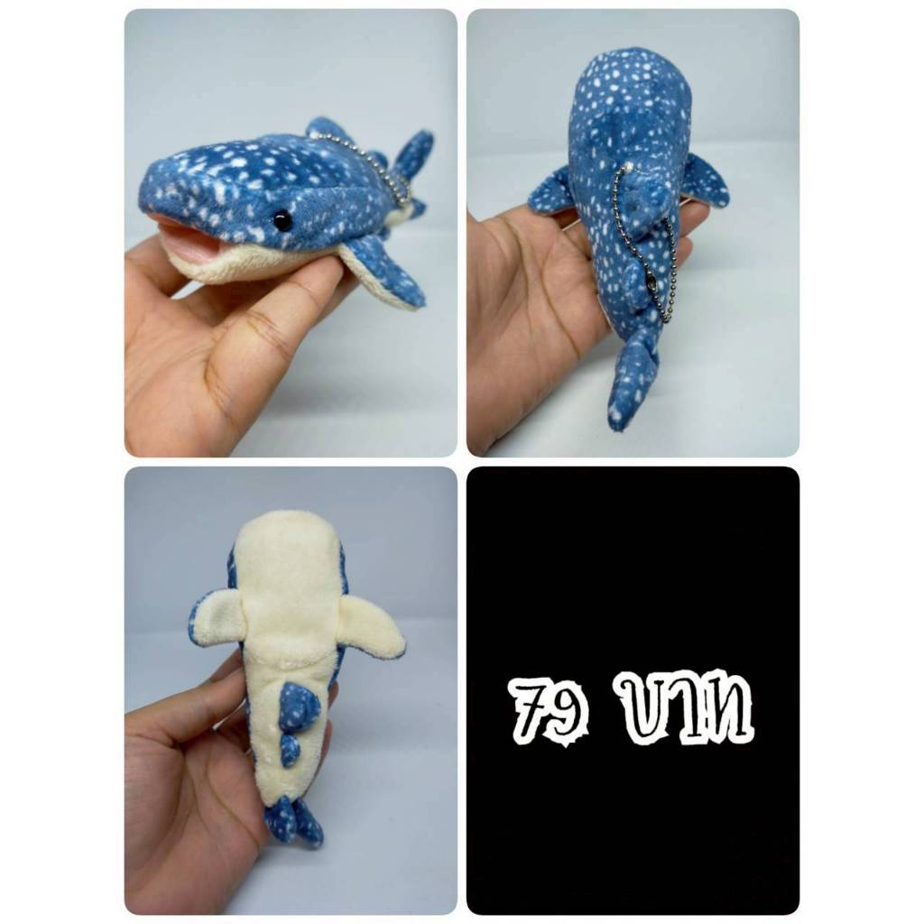 Whale Shark#ฉลามวาฬ#ปลา#Okinawa Churaumi Aquarium#ป้ายตัด#งานพวงญี่ปุ่นมือสอง