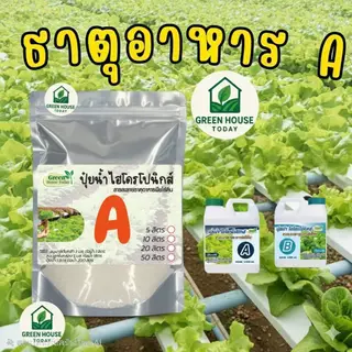 ปุ๋ย AB ปุ๋ยไฮโดรโปนิกส์ ปุ๋ยเอบี ขนาด(**5 ลิตร**)(*10 ลิตร**) ปุ๋ยผักสลัด ใช้ได้ทั้งระบบน้ำนิ่ง และ น้ำวน