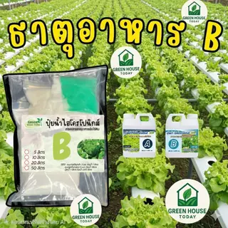 ปุ๋ย AB ปุ๋ยไฮโดรโปนิกส์ ปุ๋ยเอบี ขนาด(**5 ลิตร**)(*10 ลิตร**) ปุ๋ยผักสลัด ใช้ได้ทั้งระบบน้ำนิ่ง และ น้ำวน