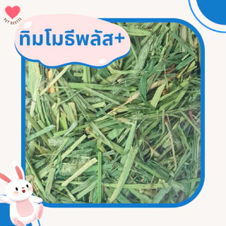 ถุงใหญ่ หญ้าทิมโมธีพรีเมียมล็อตใหม่สุดร่อนฝุ่น 4 กก.| เกรด Super Premium Plus+ เขียวมาก ใบดอกเยอะ