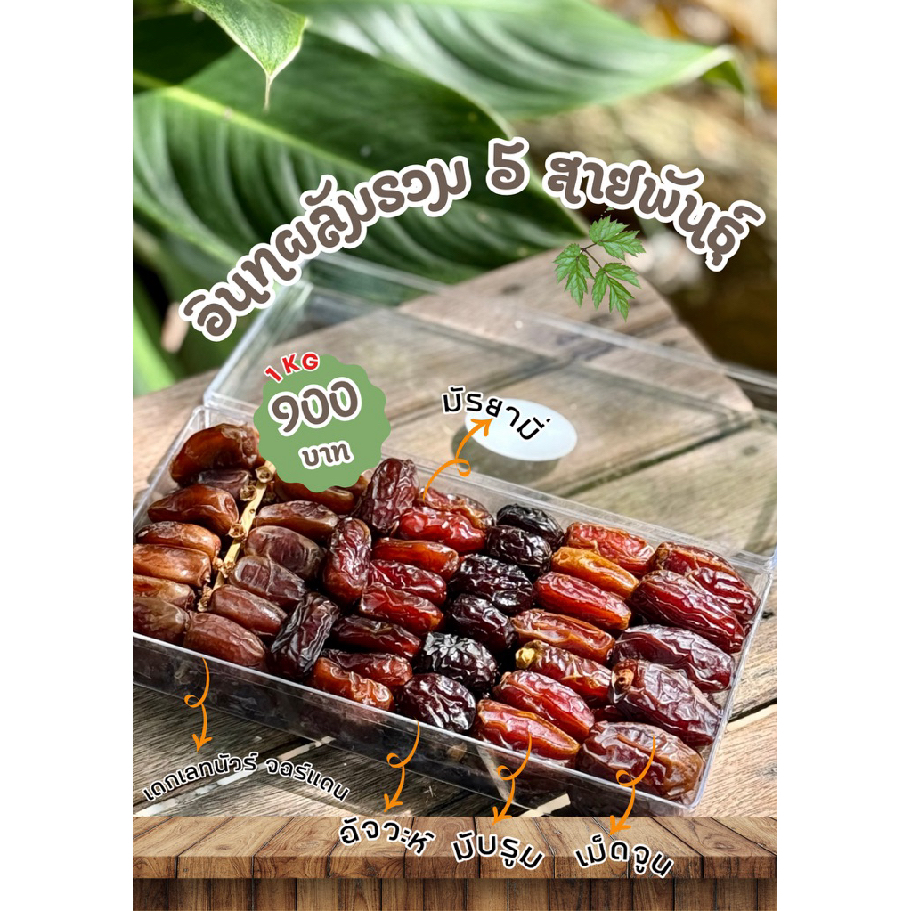 อินทผลัมรวม 5 สายพันธุ์ (1,000กรัม)