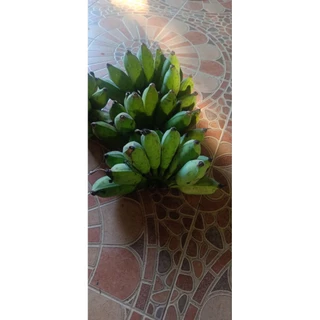 🍌พร้อมส่ง🍌กล้วยน้ำว้า (แบบดิบ) กล้วยโตแบบธรรมชาติ (ขายเป็นหวี)
