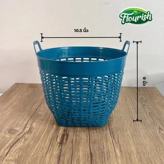 เข่งพลาสติก เบอร์7 แพ็ค 12 ใบ เข่งใส่ต้นไม้ เข่งปลูกต้นไม้