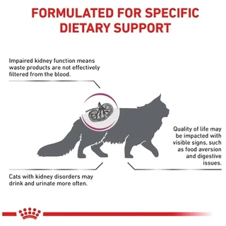 [PETClub] Royal Canin Vet Cat - Renal [2kg,4kg.]