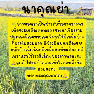 ถูกที่สุด👍ข้าวน้ำตาลต่ำ ข้าว กข43 นาคุณย่า ข้าวน้ำตาลน้อย🌾ข้าวเพื่อสุขภาพ ออแกนิค ปลอดสารเคมี 🌾ส่งตรงจากชาวนาถึงมือคุณ