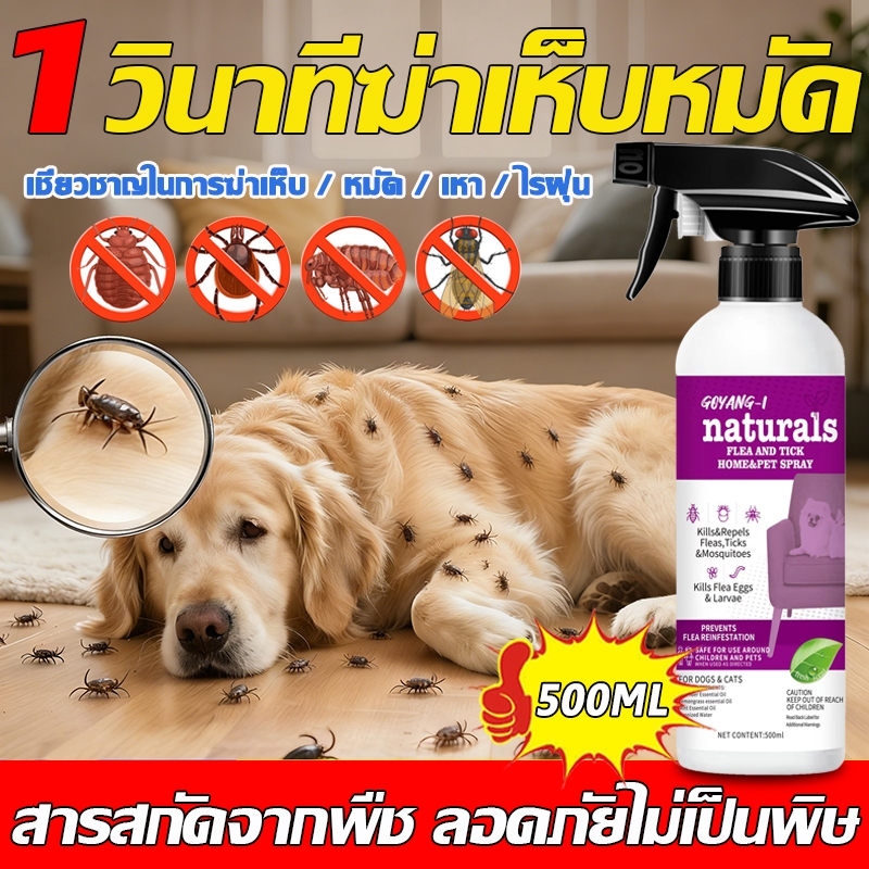 1วินาทีฆ่าเห็บหมัด กำจัดเห็บและหมัด 500ml กำจัดหมัดหมา กำจัดหมัดแมว กำจัดเห็บหมัด สูตรพืช ปลอดภัย ไม่ทำร้ายสัตว์เลี้ย