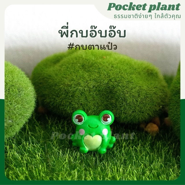 มุมมอง 5