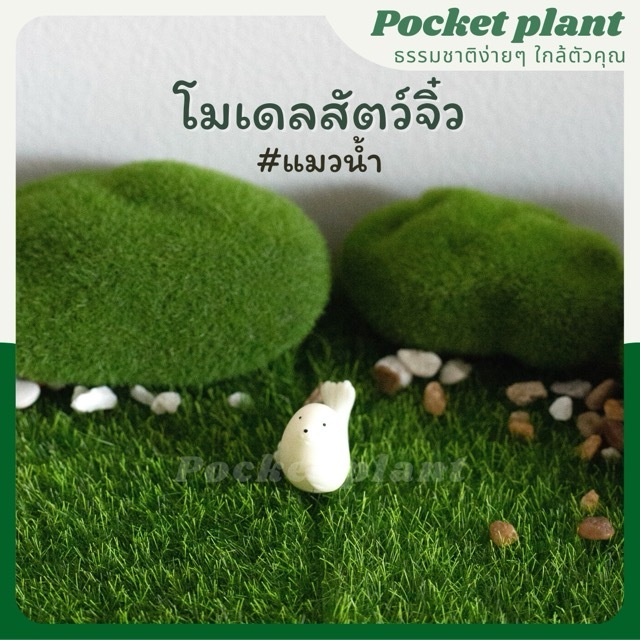 มุมมอง 5