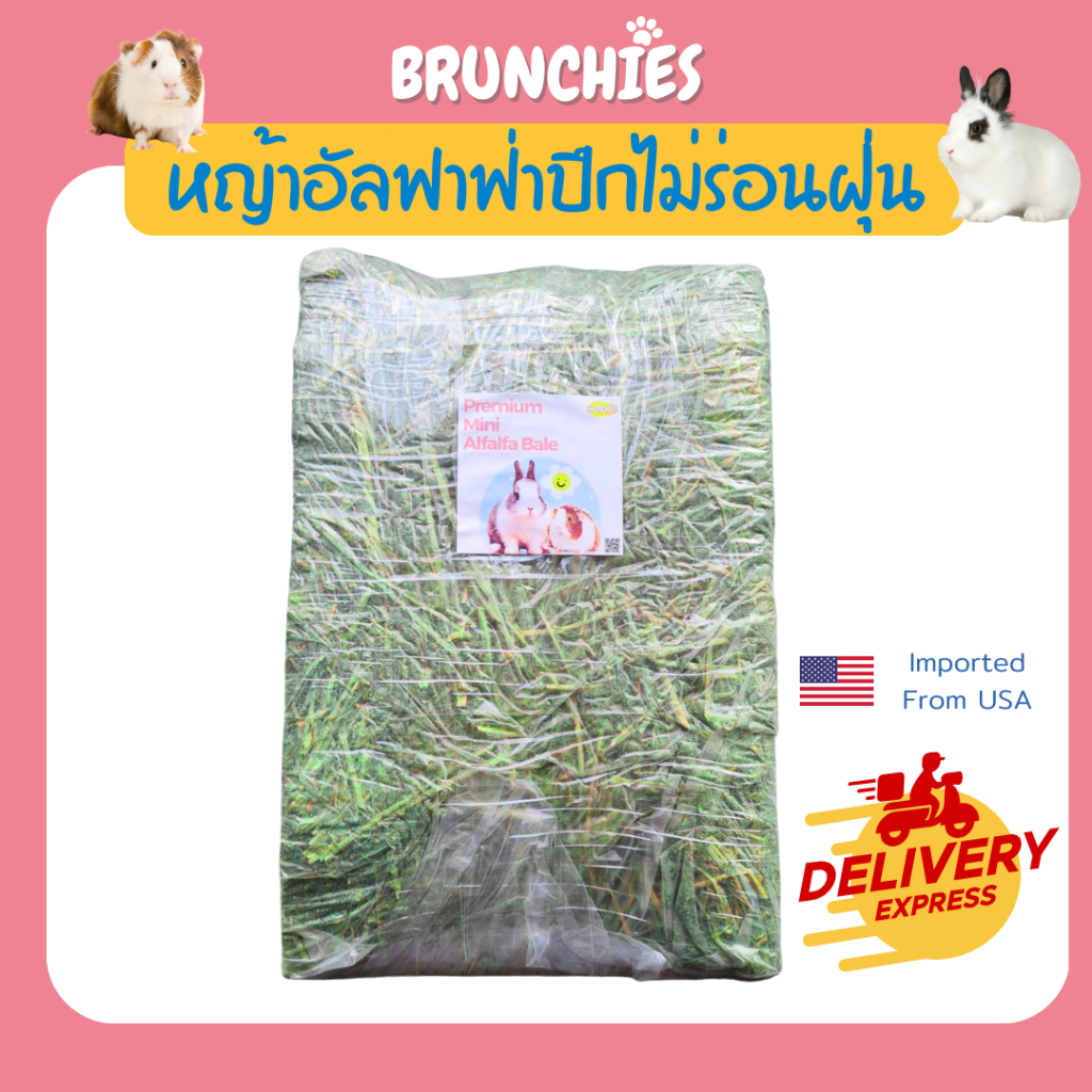 Brunchies อัลฟาฟ่าก้านสั้นแบบปึก (3/5kg) ไม่ร่อนฝุ่น คัดเขียวหอม สะอาด หญ้ากระต่าย