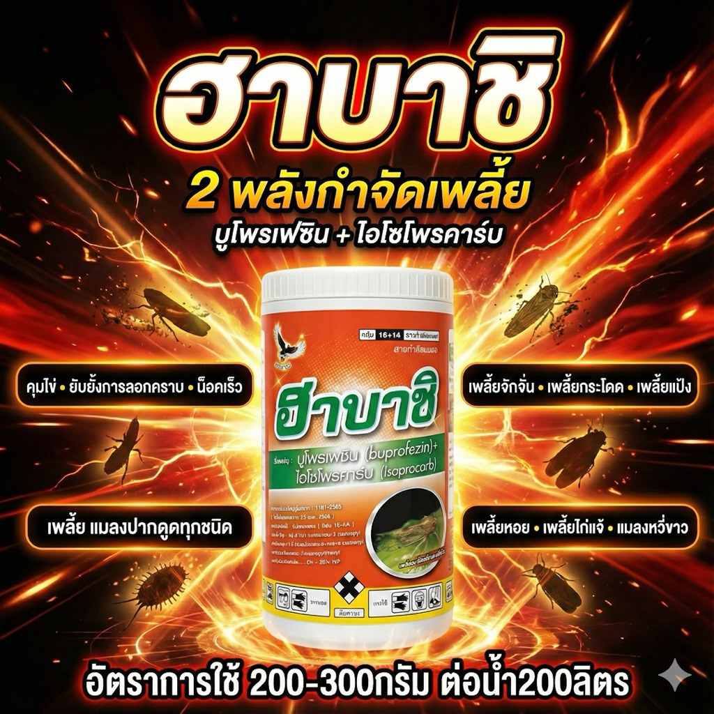 ฮาบาชิ บูโพรเฟซิน+ไอโซโพรคาร์บ กำจัดเพลี้ยจักจั่น เพลี่ยกระโดด เพลี้ยแป้ง เพลี้ยหอย ขนาด500กรัม น็อคตัว+คุมไข่+ดูดซึม