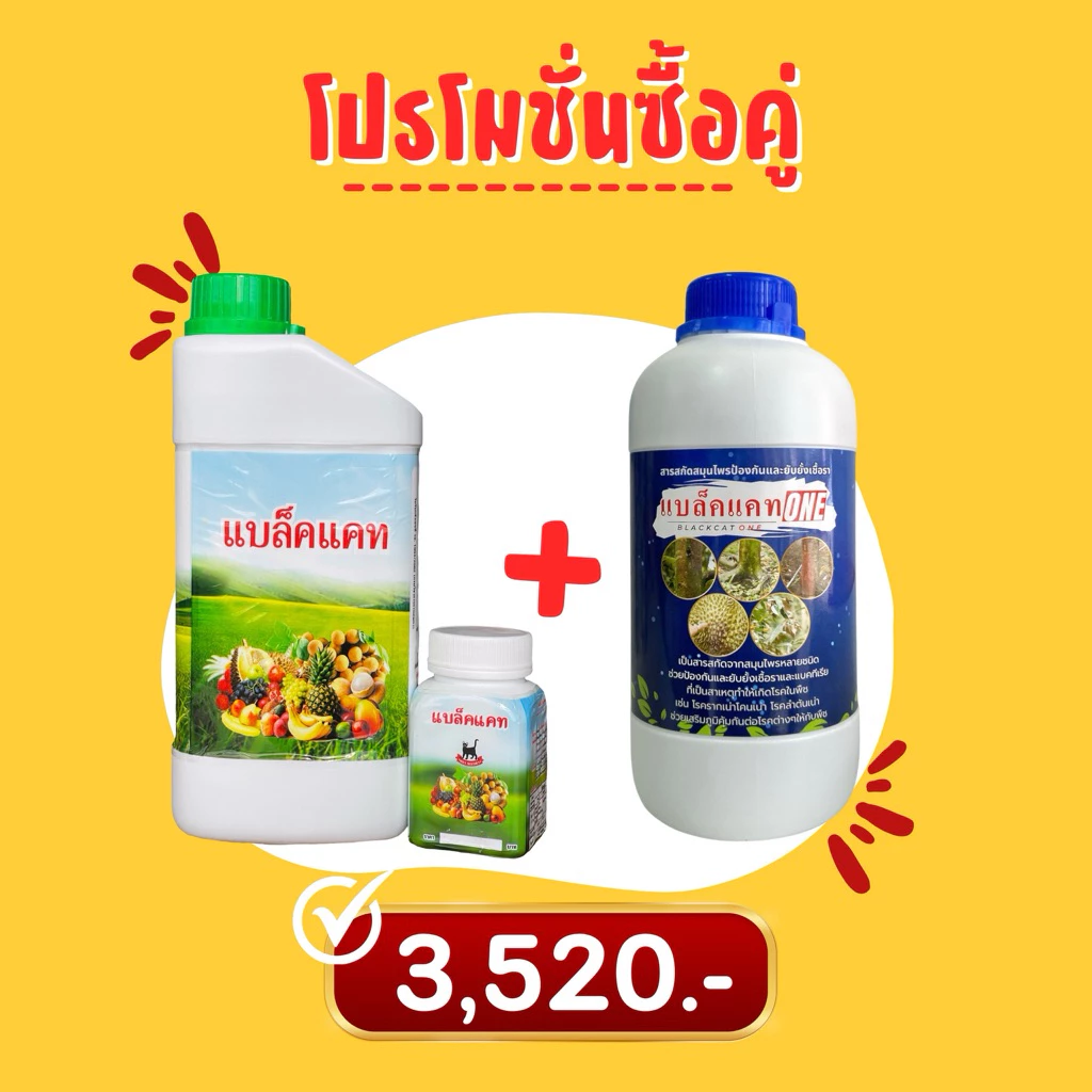 โปรฯซื้อคู่ ปุ๋ยแบล็คแคทคู่กับยาเชื้อราแบล็คแคทวัน