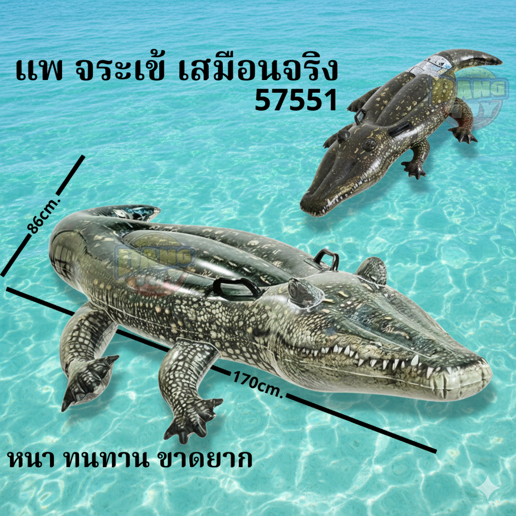 แพยาง แพนอน แพเป่าลม แพจะเข้ INTEX 57551