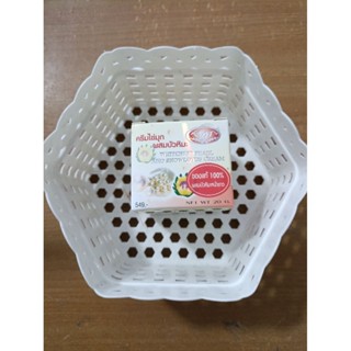 บัวไข่มุกกล่องขาว 1 ชิ้น