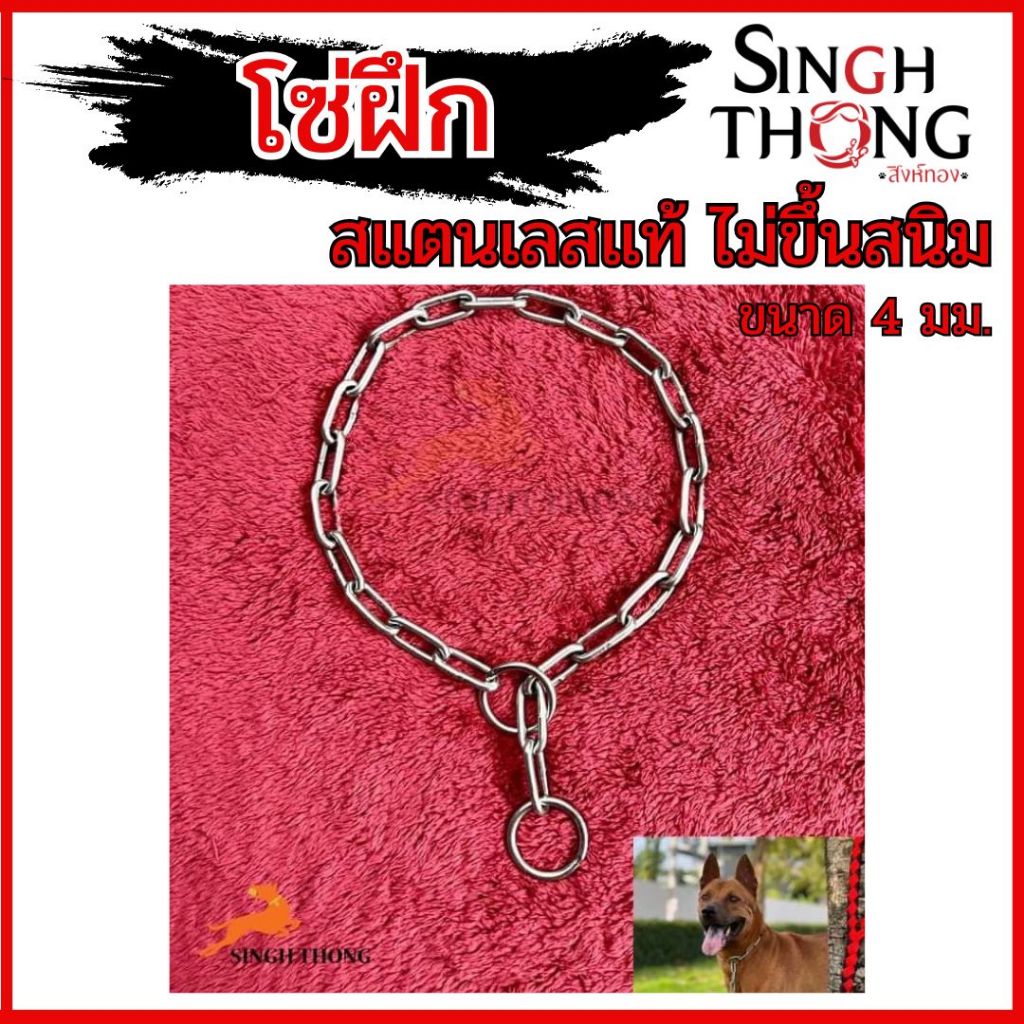 SinghTShong โซ่กระตุก โซ่ฝึก สแตนเลสแท้ ขนาด 4 มม ยาว 55-80 ซม ไม่ลอก ไม่ขึ้นสนิม โซ่โชคเชน