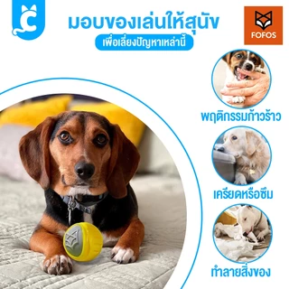 [ส่งฟรี🇹🇭] FOFOS ของเล่นสุนัข ลูกบอลหมา บีบมีเสียง แข็งแรงทนทาน Dog Flexy Ball CleverPet