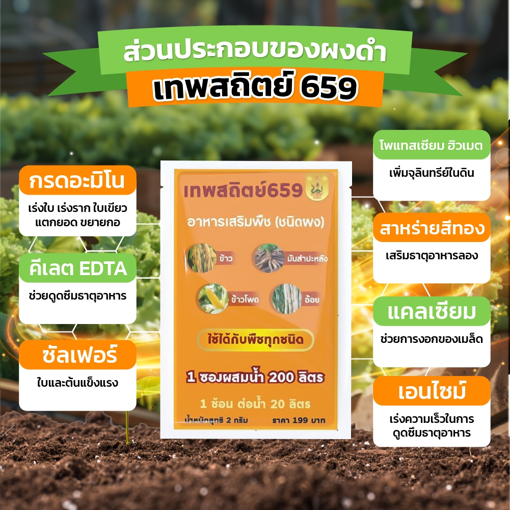 โปร 2 ฟรี 1 ผงดำเทพสถิตย์ 2 กรัม 2 ซอง แถมเสื้อ 1 ตัว ราคา ถูกที่สุด ดีลบีเคเค แกลเลอรีภาพที่ 6