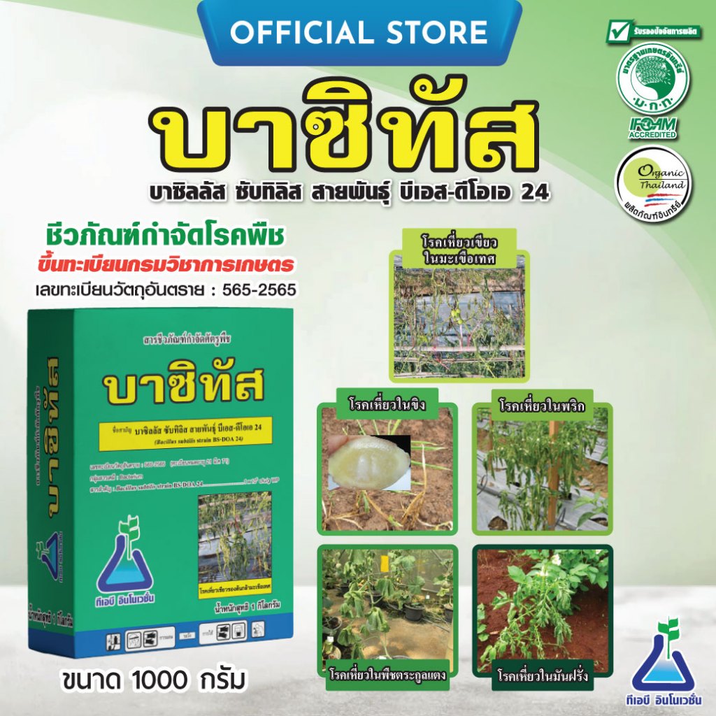 บาซิทัส จากทีเอบี บาซิลลัส ซับทิลิส สายพันธุ์ บีเอส-ดีโอเอ 24 (Bacillus subtilis strain BS-DOA 24) โรคเหี่ยวเขียว