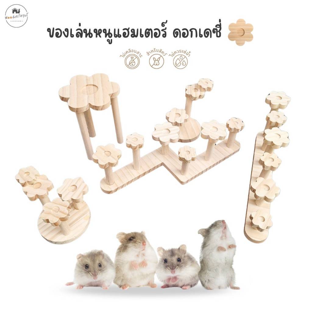 ของเล่นแฮมเตอร์ ไม้แบ่งโซน กระรอกจิ๋ว ดอร์เมาส์ อุปกรณ์แต่งกรง ไม้สนแทะได้ ไจแอนท์ ดอกเดซี่