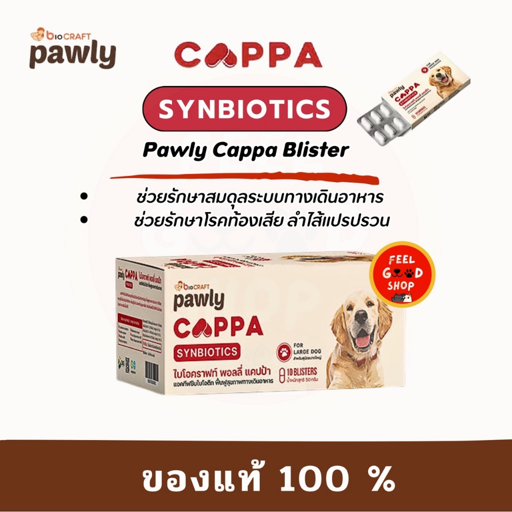 (ยกกล่อง) PawlyCappa synbiotic for Dog (100 แคปซูล) ช่วยดูแลท้องเสีย เสริมภูมิ ขับถ่ายเป็นก้อน (exp 05/27)