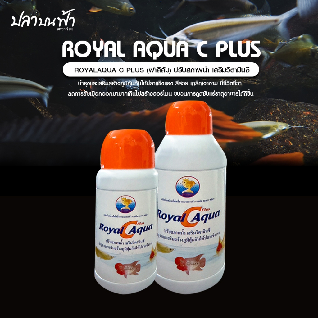 Royal aqua C plus ปรับสภาพน้ำ พร้อมเสริมวิตามินผสมแร่ธาตุชนิดน้ำ เกล็ดหนาเงางามและครีบแข็งแรง สำหรับ