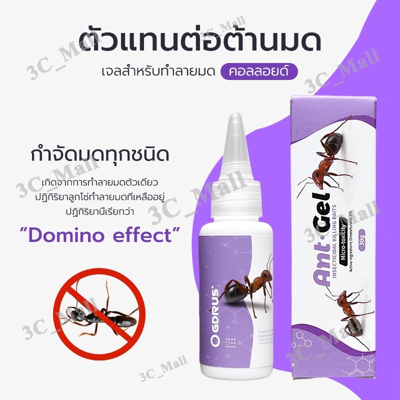 Antiant เจลกำจัดมด แอนติแอนท์ เหยื่อกำจัดมด เจลล่อมด หยดเดียวตายยกรัง 50g/30g เพิ่มปริมานขึ้น