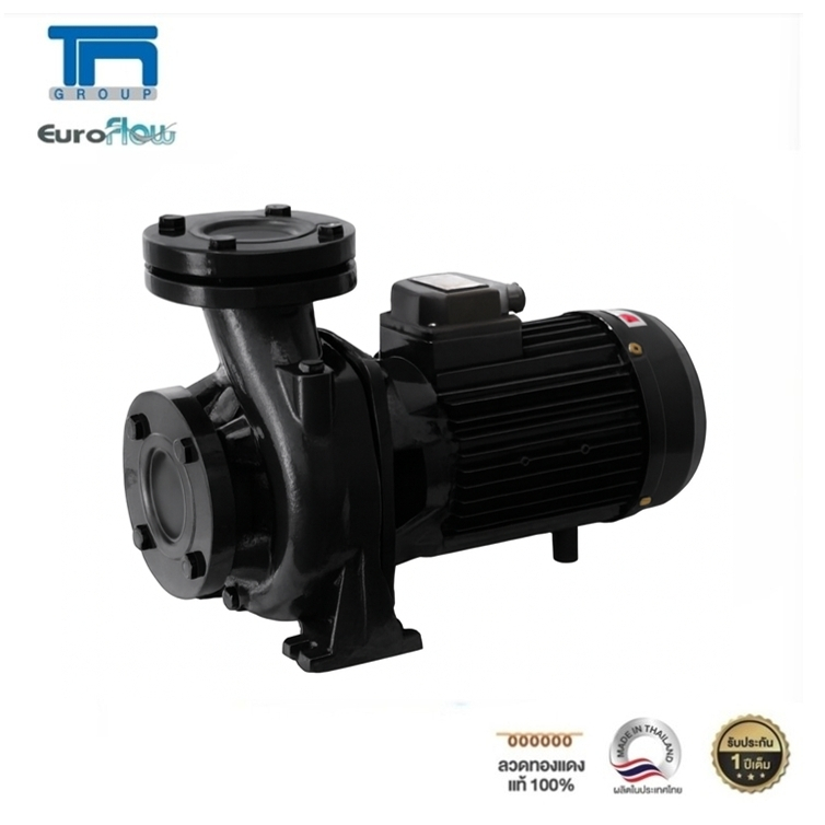 ปั๊มน้ำหอยโข่ง Euroflow รุ่น WSF300/3 (3HP 2P ) 3 แรงม้า ท่อเข้า-ออก 3 นิ้ว
