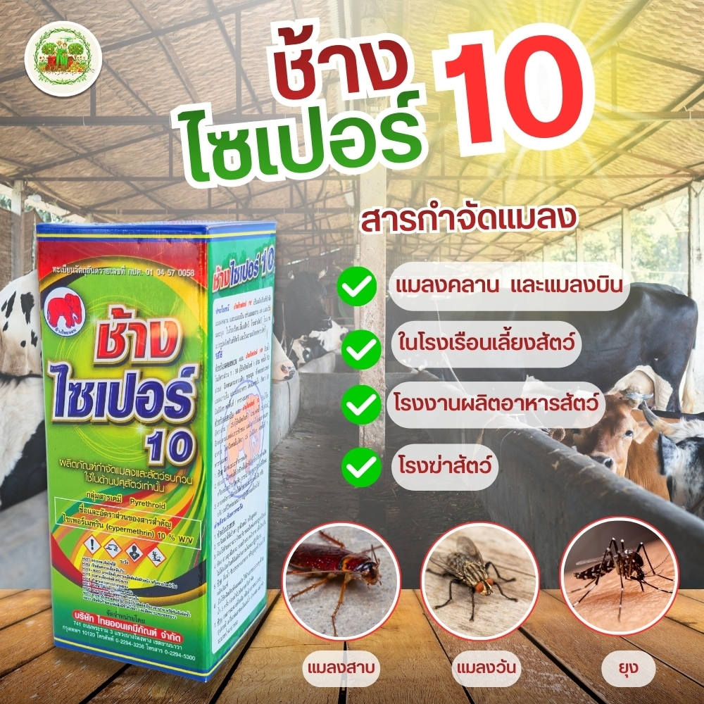 ไซเปอร์เมทริน 10% (ตราช้างแดง) สารกำจัดแมลง กำจัดหนอน หนอนบ้ง แมลงวัน แมลงกัดกินใบ ขนาด100มล