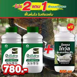 อะมิโนยาง ฟ้าอรุณ [ขนาด 500cc] — เฉพาะสำหรับยางพาราโดยตรง ฟื้นฟูต้นยางโทรม เปลือกแข็ง กรีดยาก น้ำยางมีเปอร์เซ็นต์ต่ำ
