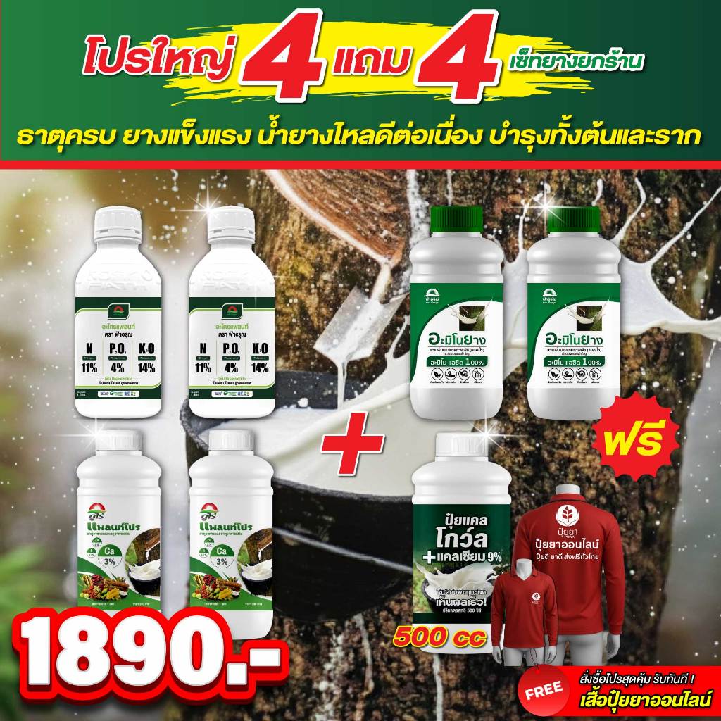 โปร 4 แถม 4 ! ธาตุอาหารหลัก(2ขวด) + รองเสริม(2ขวด) + แถมฟรี! อะมิโนยาง(2ขวด) แคลโกว์ล 500cc เสื้อ 1 ตัว (เซ็ทยางยกร้าน)