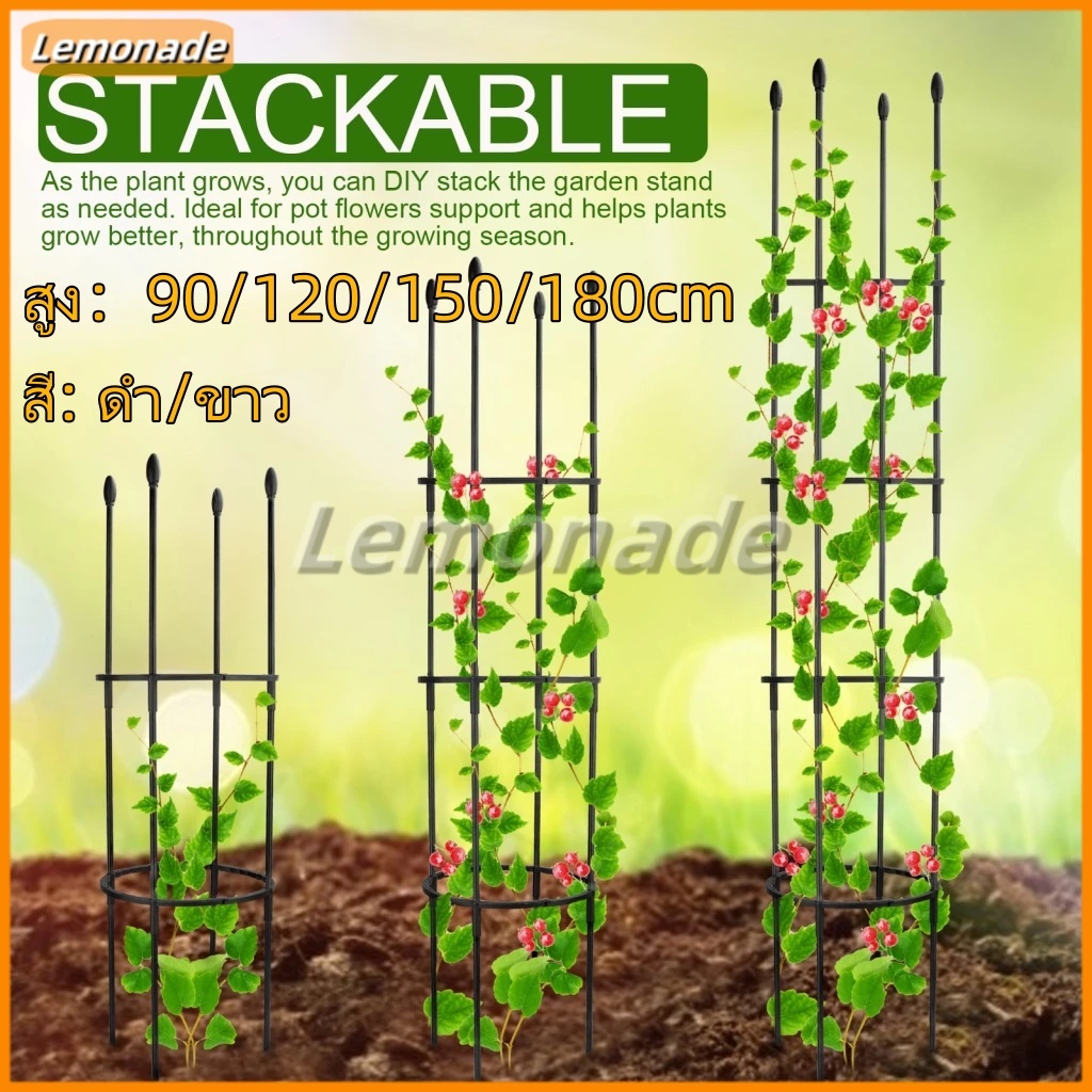 4 ขนาด ซุ้มไม้เลื้อย กุหลาบ โครง ระแนง ท่อเหล็กเคลือบ PE กันสนิม เหล็กดัด สามารถใช้ในกระถางได้