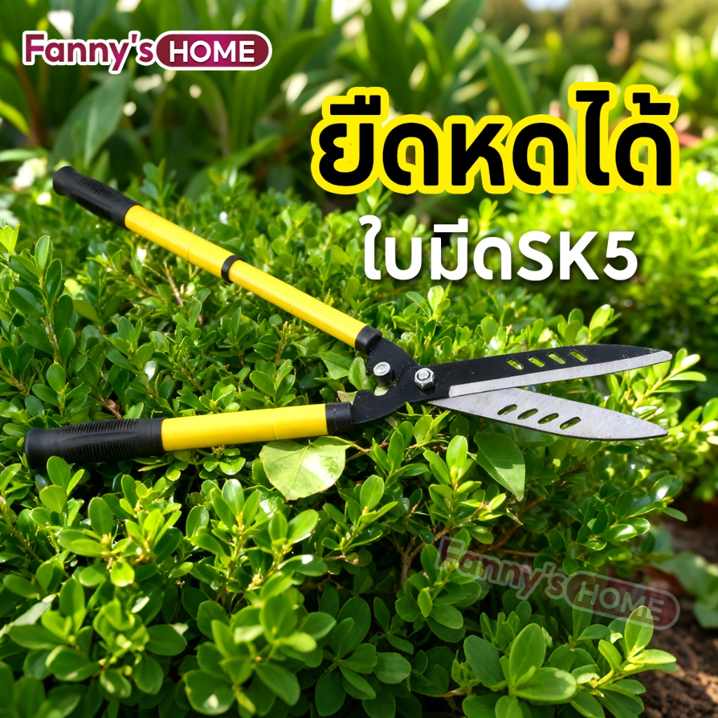 กรรไกรตัดหญ้า แบบยืดหด ใบมีดSK5 กรรไกรตัดแต่งพุ่มไม้ ปรับความยาวได้ กรรไกรตัดกิ่ง กรรไกรทำสวน เหล็กทำด้าม ใบมีดคม