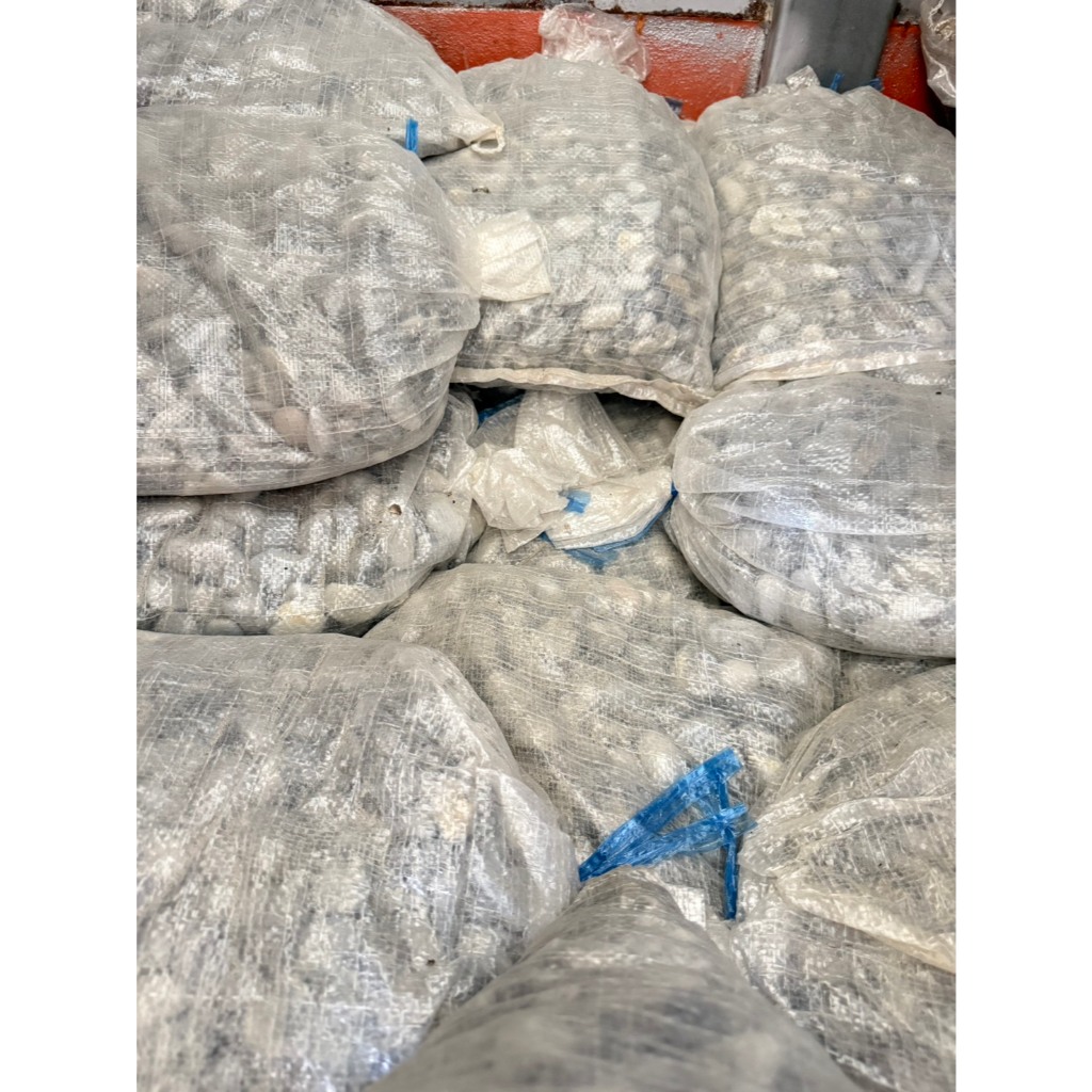 หินกรวดแม่น้ำ ฟ้า–เทา จำนวน 1 ถุง หนัก 6-7 กิโล| หินตกแต่งสวน–ตู้ปลา สีธรรมชาติ คัดสวย (ส่งทุกวัน) - รูปที่ 4