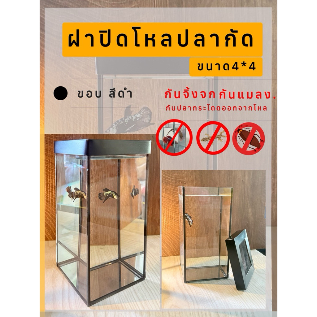 ฝาปิดโหลปลากัด ตรงรุ่น ขนาด 4x4x8 นิ้ว