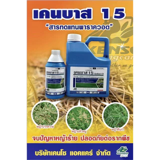 **ยกลัง6แกลลอน**เคนบาส 15 ขนาด 4 ลิตร (กลูโฟซิเนต-แอมโมเนียม) สารกำจัดวัชพืชฉีดคันนา ลูบข้าวดีด ทั้งใบกว้าง และใบแคบ