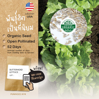 เมล็ดผักนำเข้า บัตเตอร์เฮด Butterhead Lettuce (Organic Seed)…