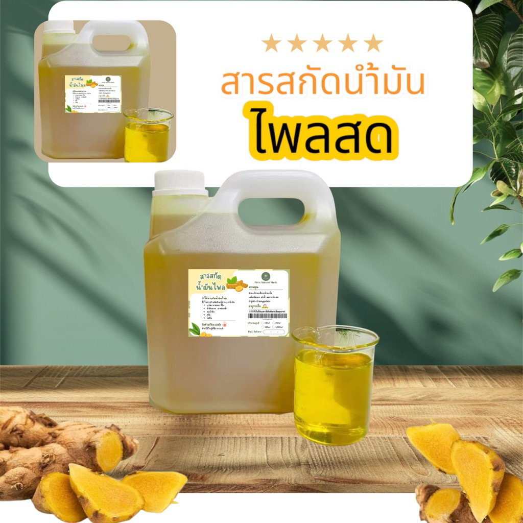 สารสกัดน้ำมันไพลสดเข้มข้น
