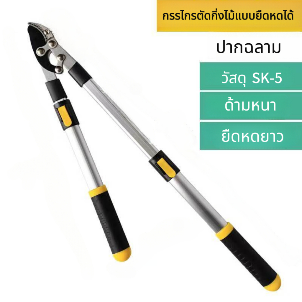 กรรไกรแบบพับได้,กรรไกรตัดแต่งกิ่งยาว,เครื่องมือตัดแต่งกิ่งสำหรับต้นไม้ผลไม้สนามหญ้าสีเขียว