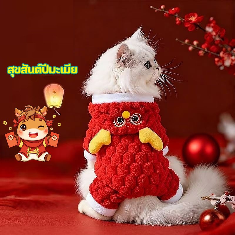 รูปภาพ 2