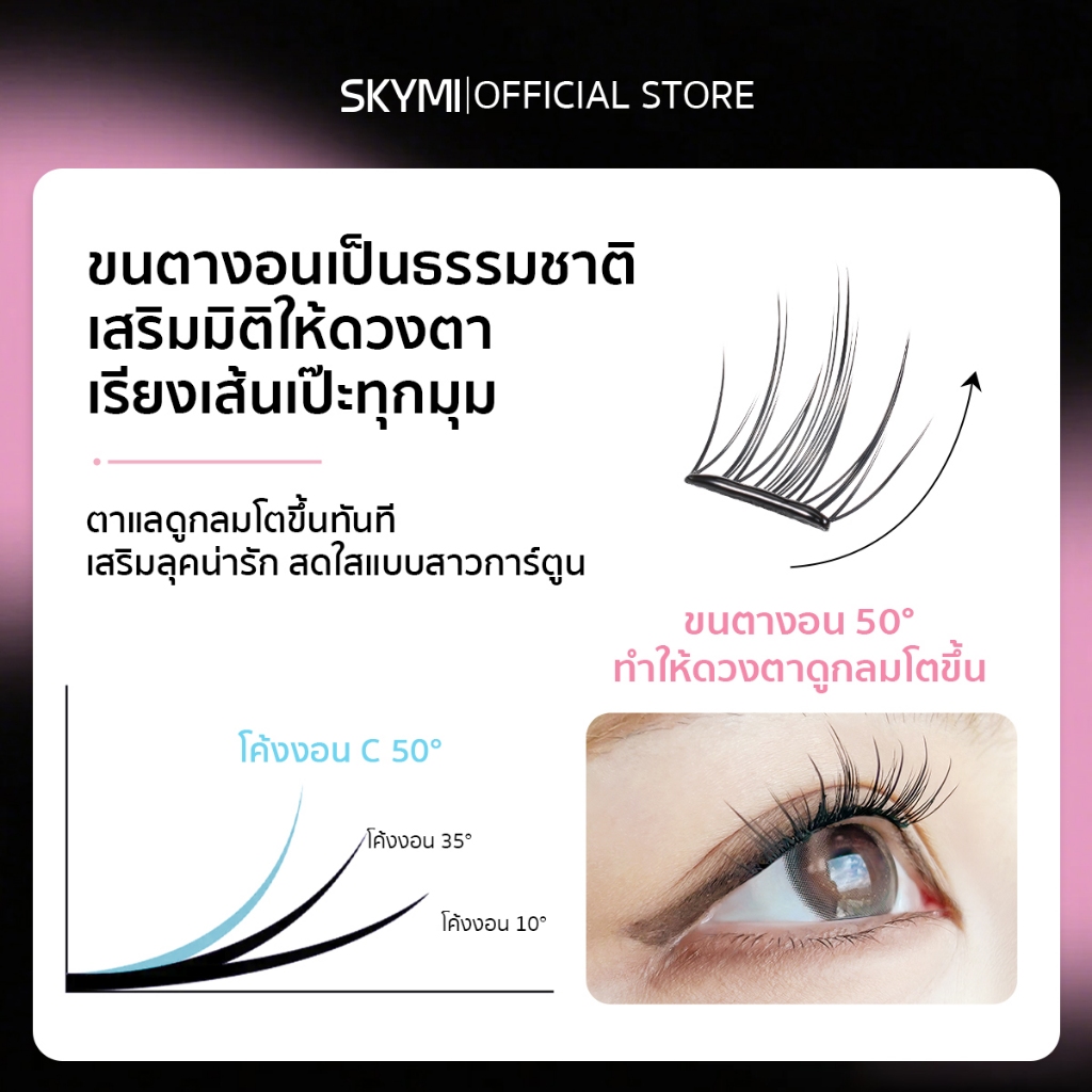 รูปภาพ 8