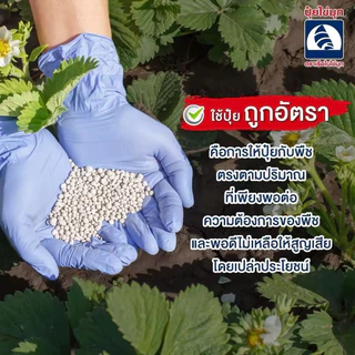 ปุ๋ยเรือใบไข่มุกโนวา 15-5-25 แบ่งขาย 5 โล(บรรจุใส่ถุงซิป)