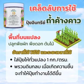 ปุ๋ยอินทรีย์เม็ด ตราถ้ำค้างคาว ขนาด 10 กก. บำรุงพืช บำรุงดิน สินค้าคุณภาพจาก TPIPL
