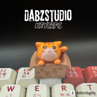 [DabzStudio] Cat Box Keycap – คีย์แคปแมวน้อย น่ารัก สำหรับ M…