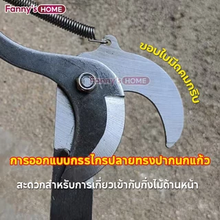 💥จัดส่งที่รวดเร็ว💥กรรไกรตัดกิ่งไม้สูง ฟรีเชือก1.5M ตัดแต่งสวน ตัดแต่งผลไม้ ตัดแต่งกิ่งไม้ ประหยัดเวลาและแรง ไม่มีเสา
