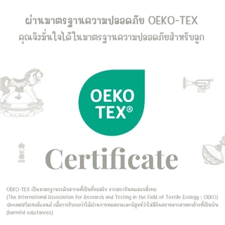 SNOW OWL Born in 2026 ผ้าห่อตัวสำเร็จรูป Swaddle MagnetBric แบบแปะ (0-3m)