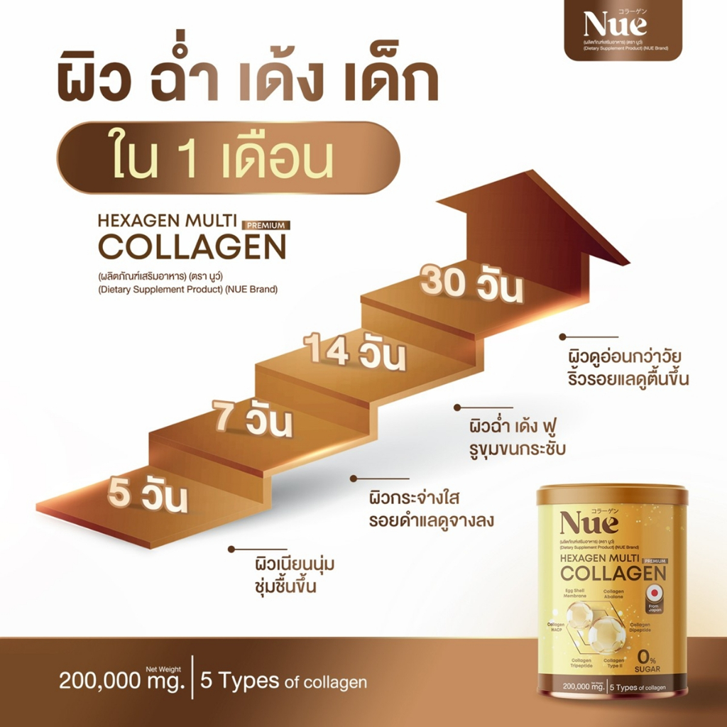 Nue Collagen มัลติคอลลาเจน เกรดพรีเมียม 6 ชนิด และ 5 นวัตกรรมสารสกัดระดับโลก ชะลอวัยระดับ DNA รูปที่ 2