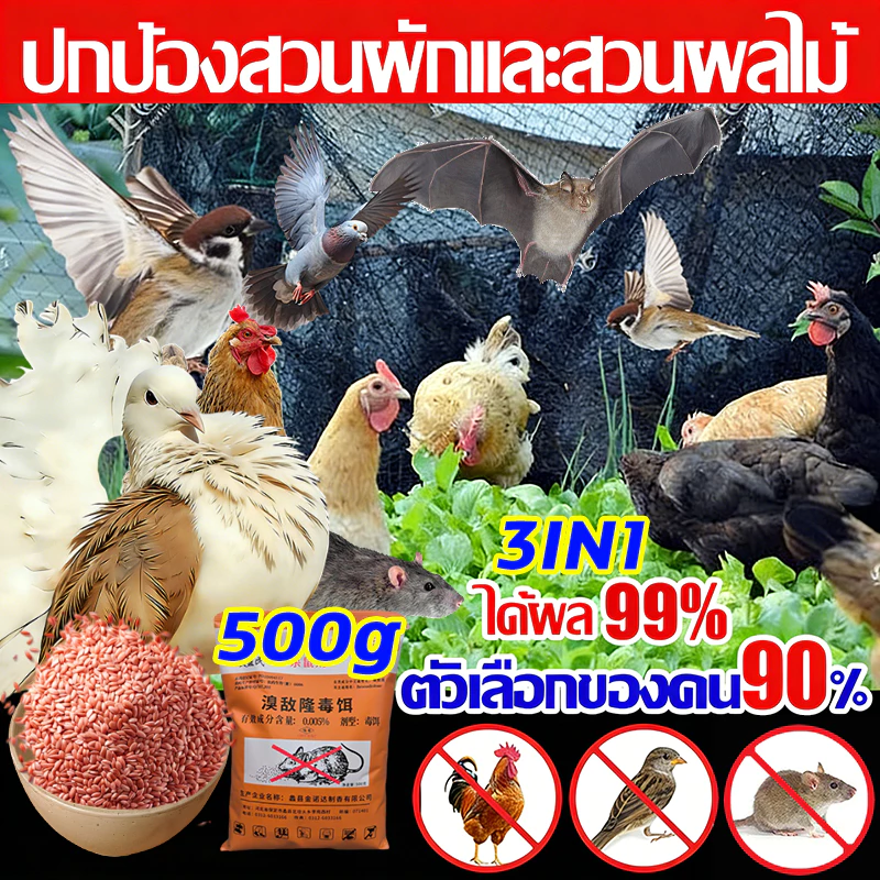 ได้ผล98% 3in1 ยาเบื่อไก่=ยาเบื่อ นกพิราบ=ยาเบื่อ หนู 500g ตัวเลือกของคน90% ปกป้องสวนผักและสวนผลไม้ บอกลาขี้นกที่สกปรก