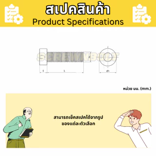 น็อต สกรู หัวบาง หัวเตี้ย ประแจหกเหลี่ยม สแตนเลส 304 เกลียวมิล หยาบ M8 / Thin Head Cap Screw