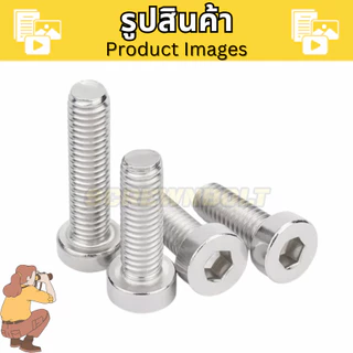 น็อต สกรู หัวบาง หัวเตี้ย ประแจหกเหลี่ยม สแตนเลส 304 เกลียวมิล หยาบ M8 / Thin Head Cap Screw